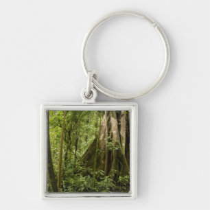 Wolkenwoud, Peace Rain Forest, Costa Rica Sleutelhanger