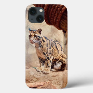 wollig afbeelding natuur wild exotisch iPhone 13 hoesje