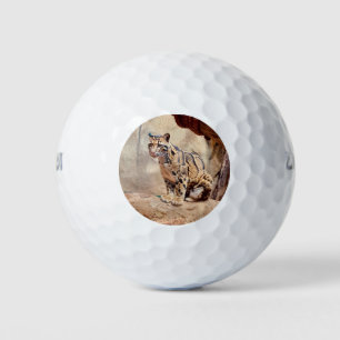 wollig afbeelding natuur wild exotisch golfballen