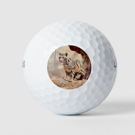 wollig afbeelding natuur wild exotisch golfballen (Voorkant)