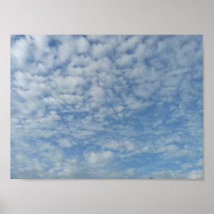 wollig poster