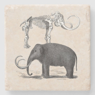 Wollige Mammoth Prehistorische Olifant en Skelet Stenen Onderzetter