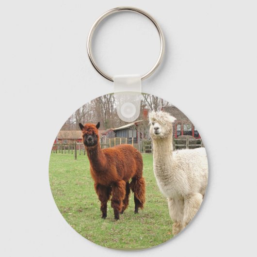 Wolly Alpacas ~ sleutelhanger (Voorkant)