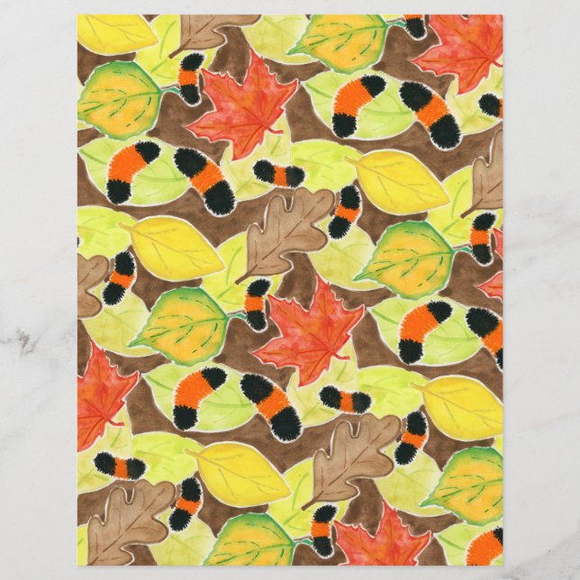 Wollybeer Caterstone (Voorkant)