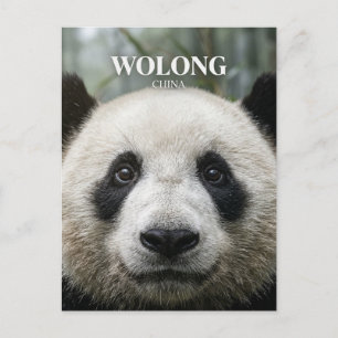 Wolong Nationaal Natuurreservaat China Briefkaart