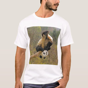 Wolong Panda Reservaat, China, 2 1/2 jaar oud T-shirt