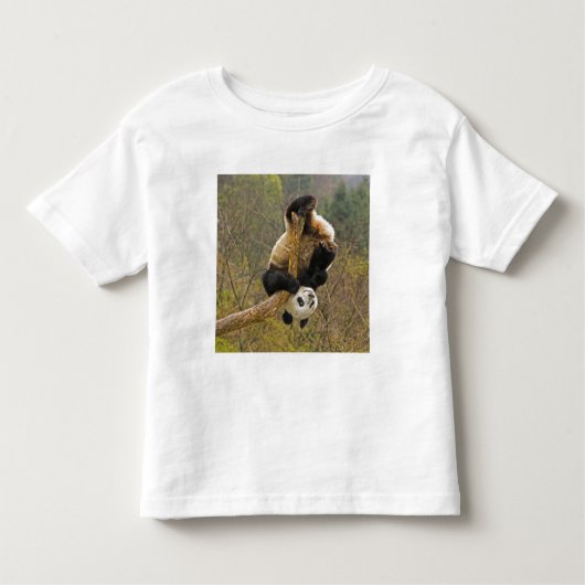Wolong Panda Reserve, China, 2,1/2 jaar oud Kinder Shirts (Voorkant)