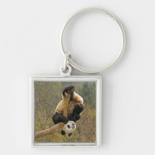 Wolong Pandareservaat, China, 2 1/2 jaar oud Sleutelhanger