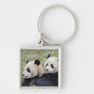 Wolong Reserve, China, Reuzenpanda knuffelt Sleutelhanger