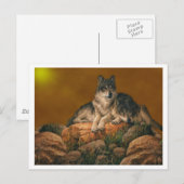 Wolven Briefkaart (Voorkant / Achterkant)