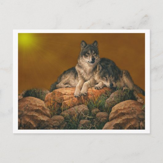 Wolven Briefkaart (Voorkant)
