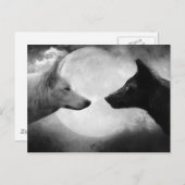 Wolven Briefkaart (Voorkant / Achterkant)