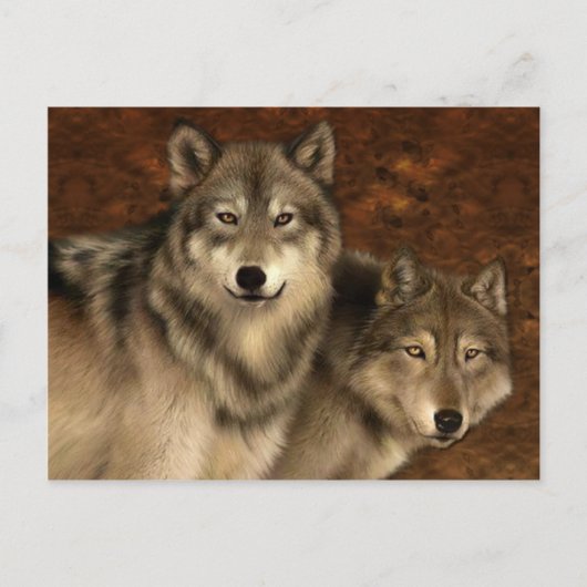 Wolven Briefkaart (Voorkant)