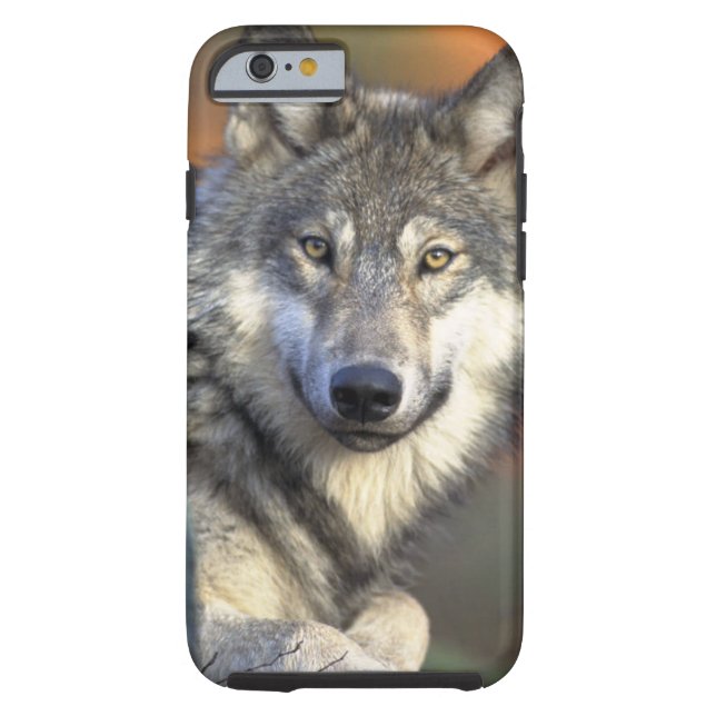 Wolven Case-Mate iPhone Case (Achterkant)