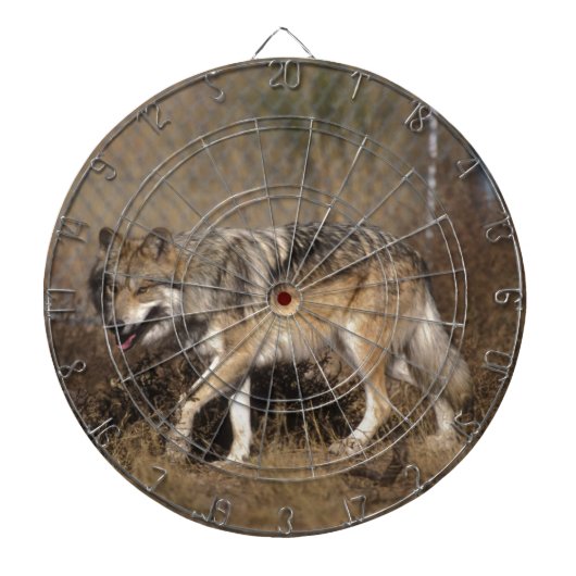 WOLVEN DARTBORD (Voorkant)
