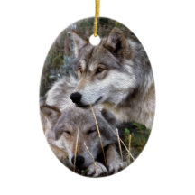 Wolven ~ Digitale oliefilter