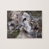 Wolven ~ Digitale oliefilter Legpuzzel (Horizontaal)