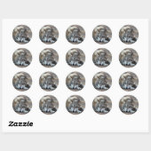 Wolven Grijze Wolf Stickers (Vel)