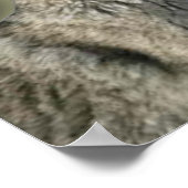 Wolven Howling op Moon Canvas Print (Hoek)