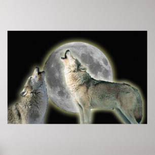 Wolven Howling op Moon Canvas Print