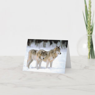 WOLVEN IN DE SNEEUW KERSTKAART FEESTDAGEN KAART
