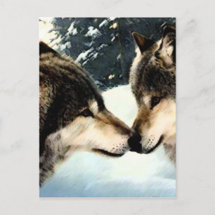 Wolven Wolf  Sneeuw Winter Sneeuw Koppel Liefde Briefkaart
