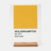 Wolverhampton Wolf Gold - Arrière - plan clair (Recto)