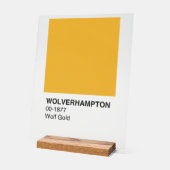 Wolverhampton Wolf Gold - Arrière - plan clair (Angle)