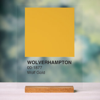 Wolverhampton Wolf Gold - Arrière - plan clair