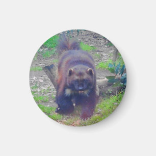 Wolverine #1 Magnet Magneet