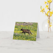 Wolverine de Kaart van de Nota (Gele Bloem)