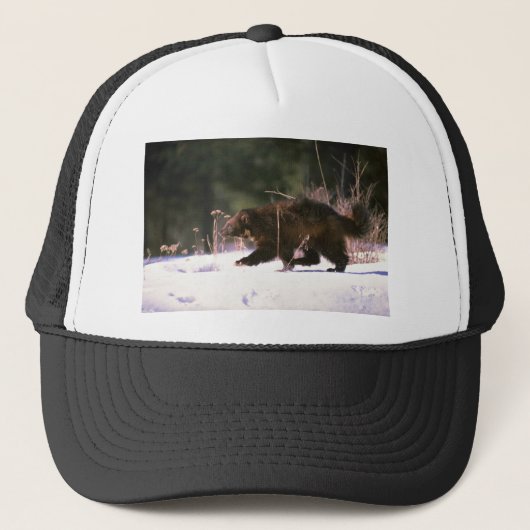 Wolverine door sneeuw trucker pet (Voorkant)