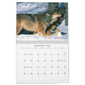 Wolves Calendar Kalender (Feb 2026)