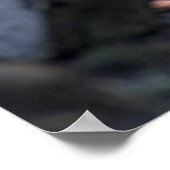 Wolves Gray Wolf Canis_lupus Poster (Hoek)