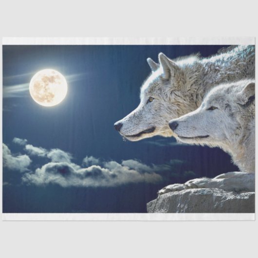 Wolves Midnight Moon Tissuepapier (Voorkant)