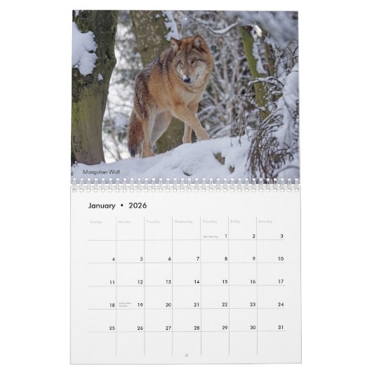 Wolves of the World 15 Mo. Calendrier 2025-26 (Jan 2026)