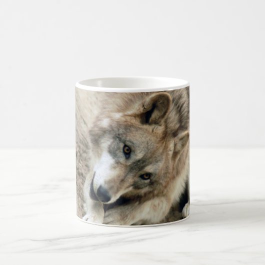Wolves Wolf Mok (Center)