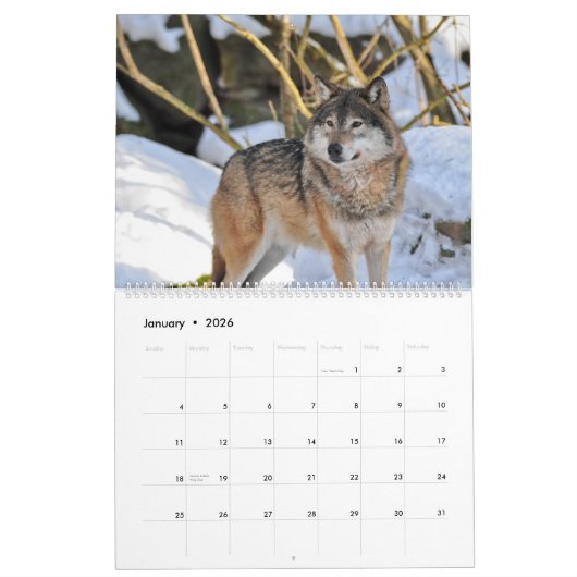 Wolves Wolf Theme Wall Calendrier 2025 (Jan 2026)