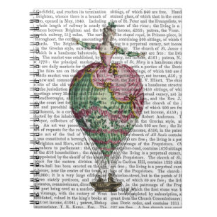 Woman 2 van de luchtballon notitieboek