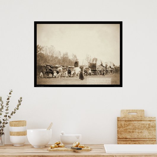 Woman Bullwhacking Oxen SD 1887 Poster (Keuken)