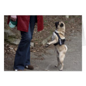 Womanizer (Devant horizontal)