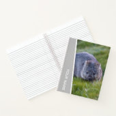Wombat Australia Cute Animal, Silver Notitieboek (Binnen)