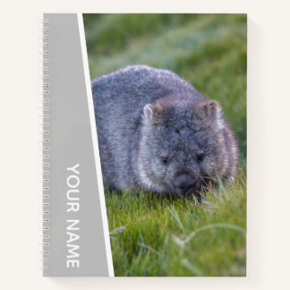 Wombat Australia Cute Animal, Silver Notitieboek