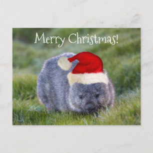 Wombat Australia Red Santa Hat Merry Kerstry Briefkaart