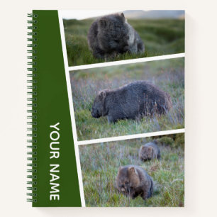 Wombat Australie Photo Collage, Carnet Vert
