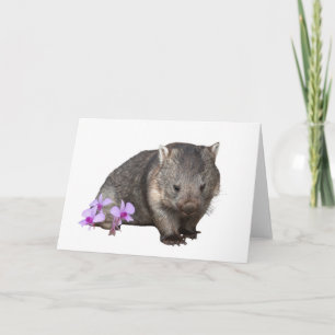 Wombat en Cooktown Orchid Kaart