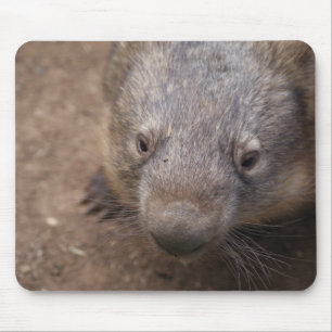 Wombat Kiss Muismat