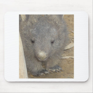 Wombat Muismat
