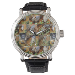 Wombat Photo Collage Horloge