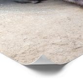 Wombat Poster (Hoek)